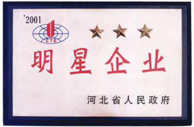 明星企業